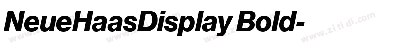 NeueHaasDisplay Bold字体转换 NeueHaasDisplay Bold字体转换